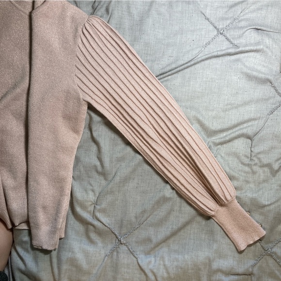 Nanette Lepore champagne pink metallic sweater with pleated sleeves - Picture 4 of 9